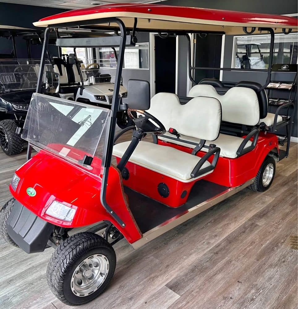 2011 Zone Electric Cars 6 Person Non-Lifted