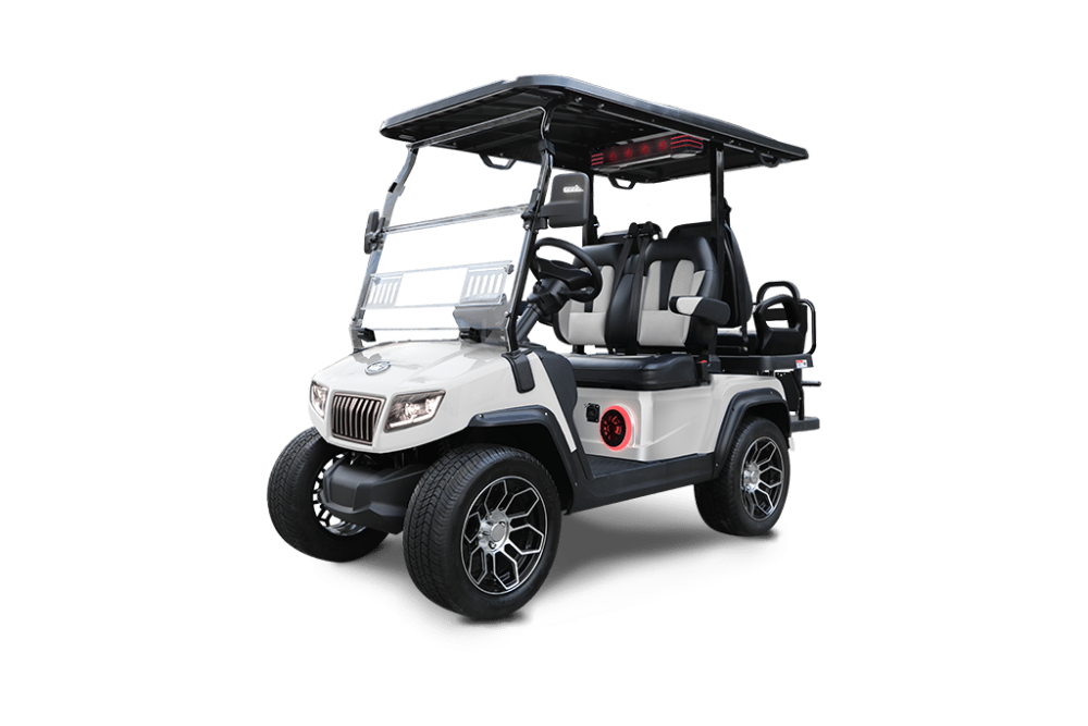 2025 Evolution Evolution D5 Ranger 2+2 Plus/Pearl White - Pearl White