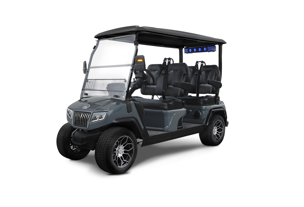 2025 Evolution Evolution D5 Ranger 4/Artic Gray - Artic Gray