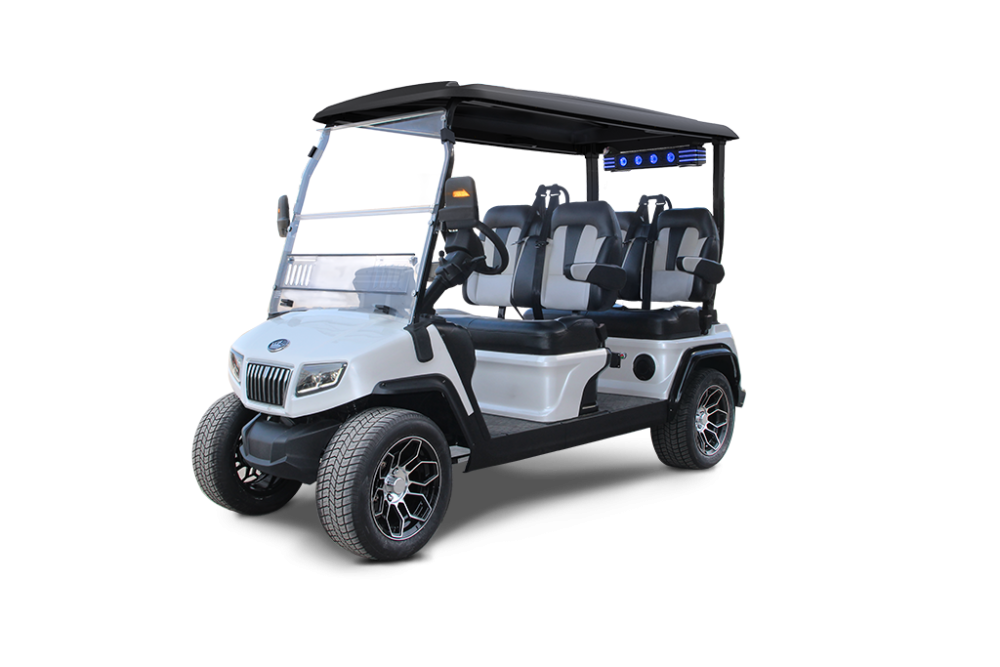 2025 Evolution Evolution D5 Ranger 4/ Pearl White - Pearl White