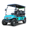 2025 Evolution Evolution D5 Ranger 4 Plus/Sky Blue - Sky Blue