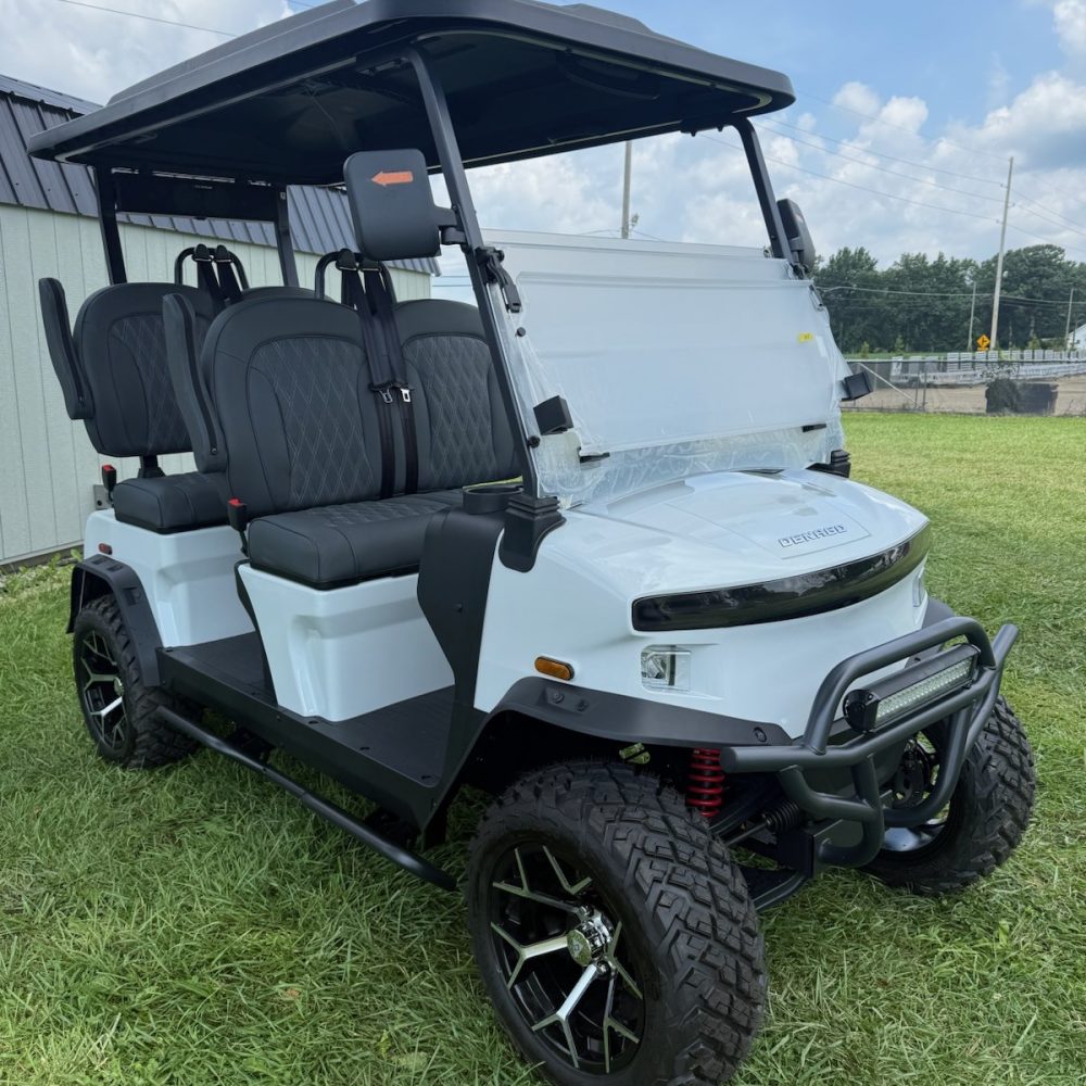 2025 Denago Rover XL/White